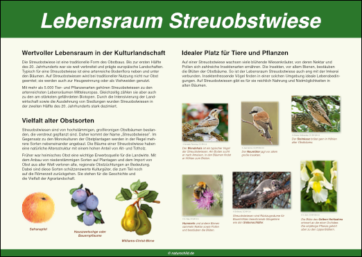 Lebensraum Streuobstwiese